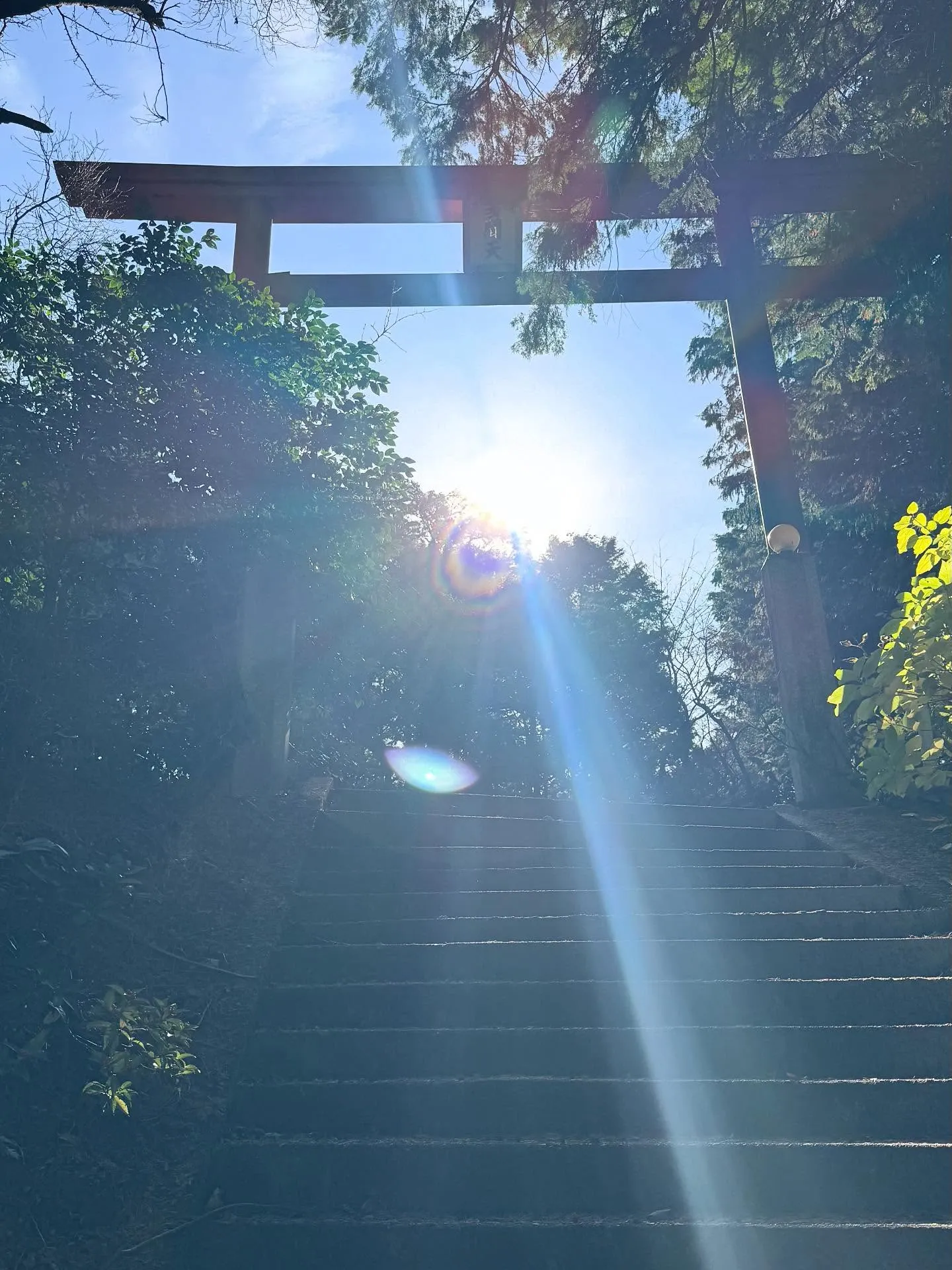 年末年始のお知らせです。